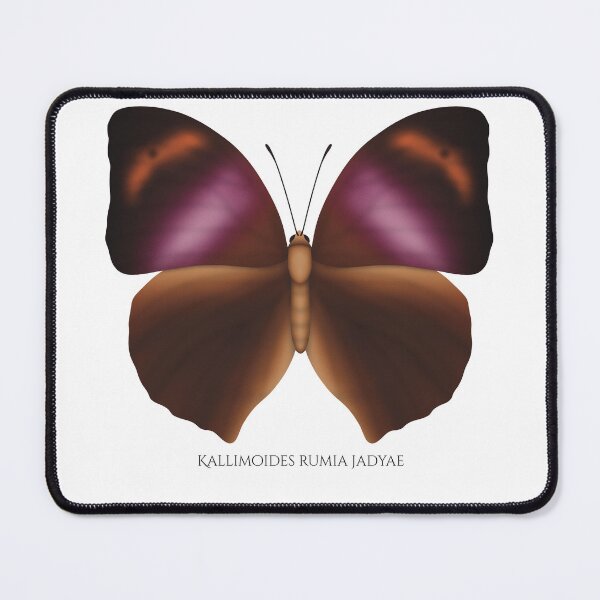 Item preview, Kallimoides rumia jadyae butterfly designed and sold by swiatek.