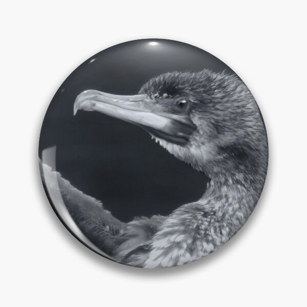 Item preview, Cormorant on the Rocks designed and sold by Tom McPherson Photography.