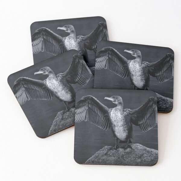 Item preview, Cormorant on the Rocks designed and sold by Tom McPherson Photography.