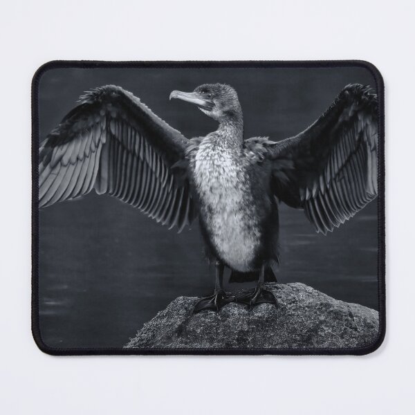 Item preview, Cormorant on the Rocks designed and sold by Tom McPherson Photography.