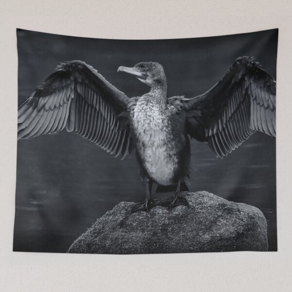 Item preview, Cormorant on the Rocks designed and sold by Tom McPherson Photography.