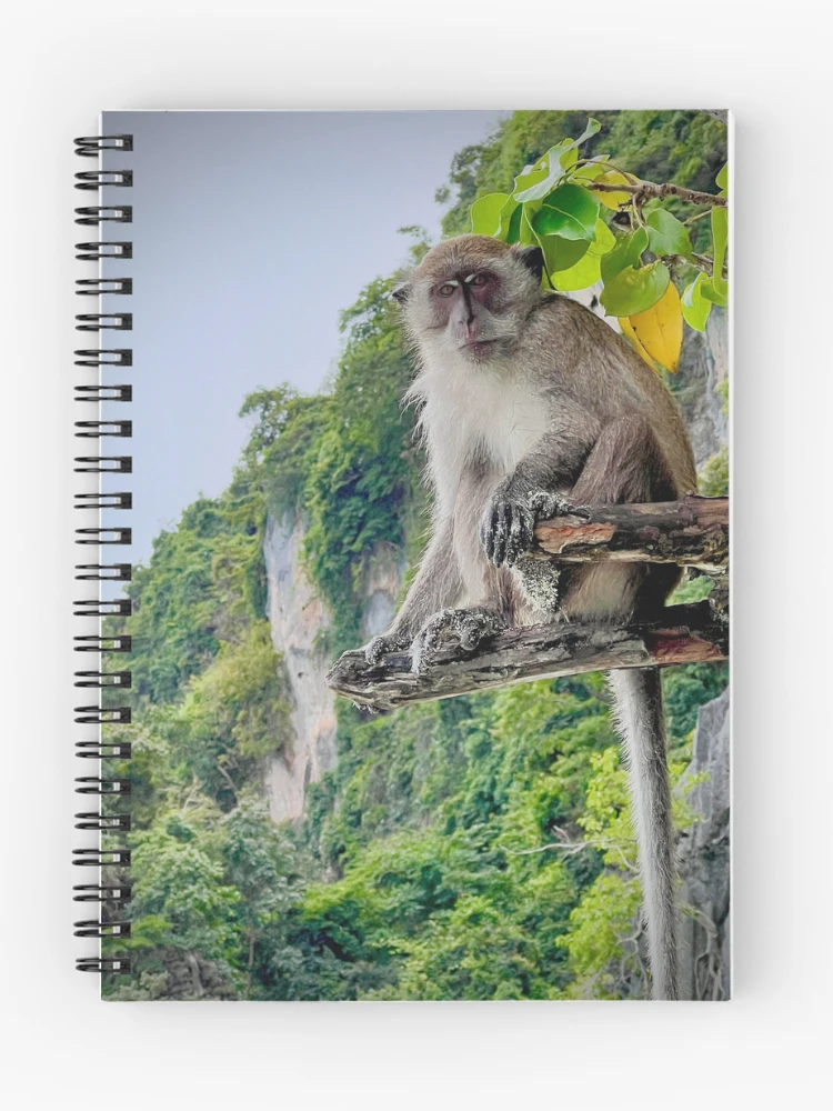 Thumbnail 1 of 3, Journal, Phi phi Monkey by Ravin Bush designed and sold by RavinBush.