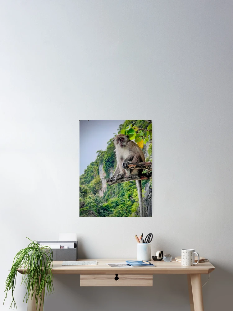 Thumbnail 2 of 3, Poster, Phi phi Monkey by Ravin Bush designed and sold by RavinBush.