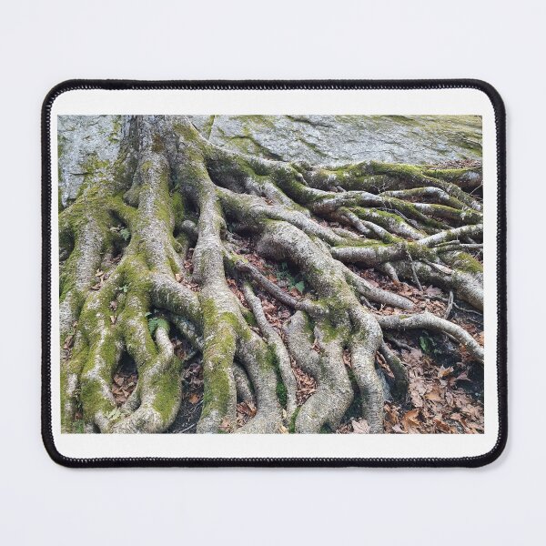 Item preview, Crazy Roots designed and sold by VTphotoprints.