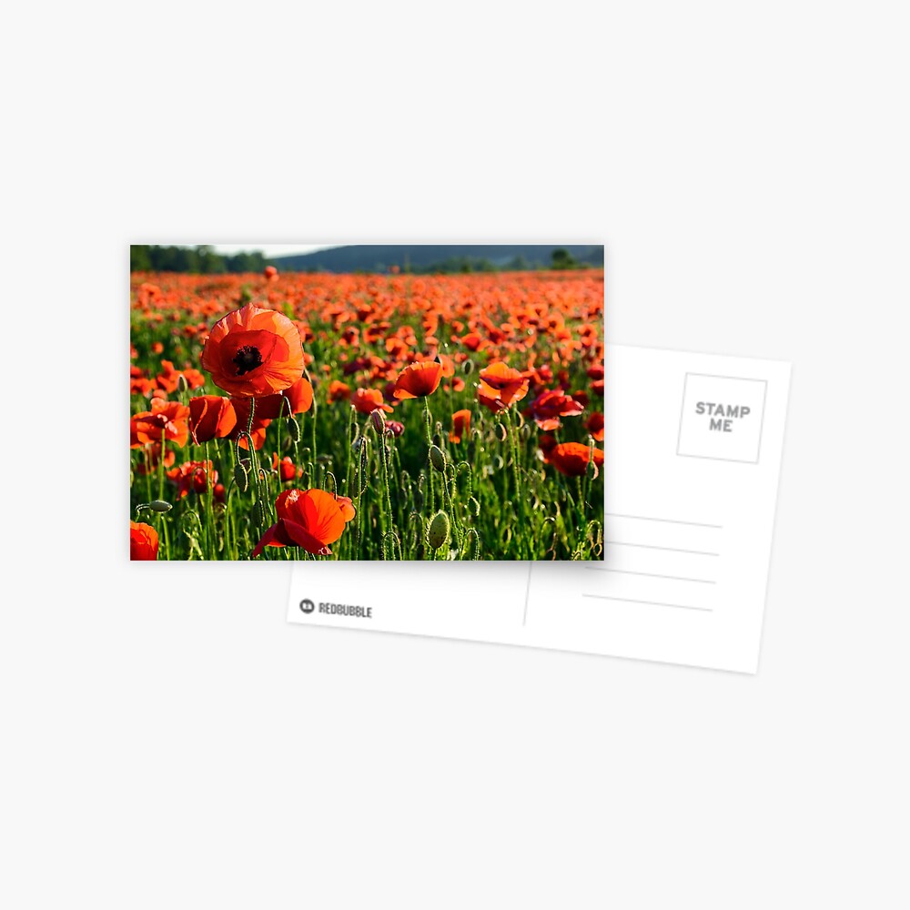 Item preview, Postcard designed and sold by mike-pellinni.