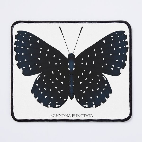 Item preview, Starry Night Metalmark butterfly designed and sold by swiatek.
