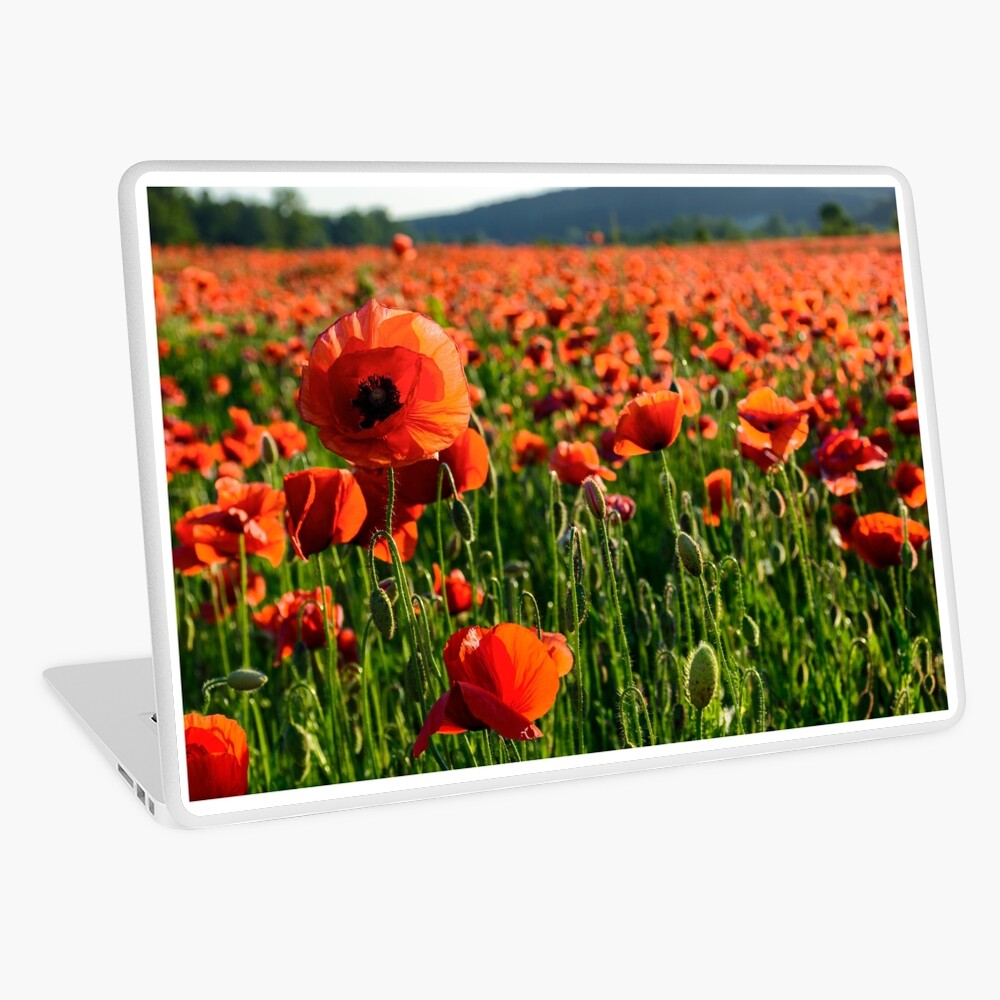 Item preview, Laptop Skin designed and sold by mike-pellinni.