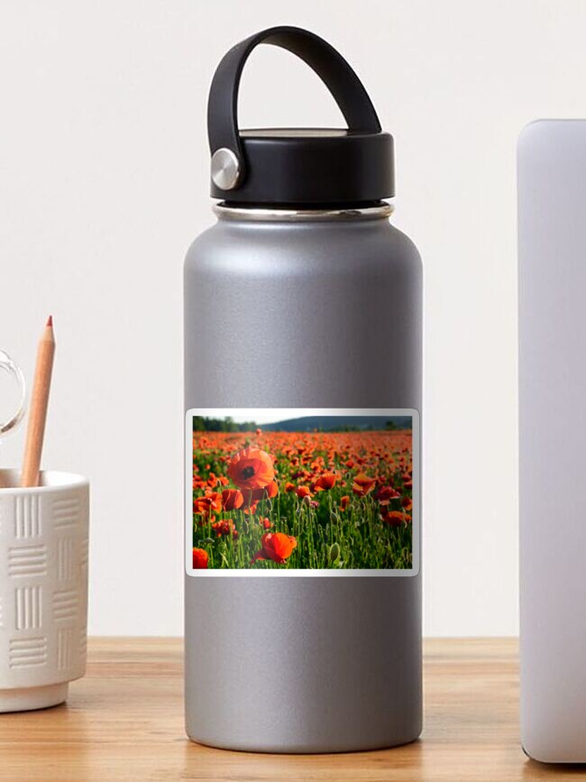 Thumbnail 1 of 3, Sticker, big red poppy flower on the field in mountains designed and sold by mike-pellinni.