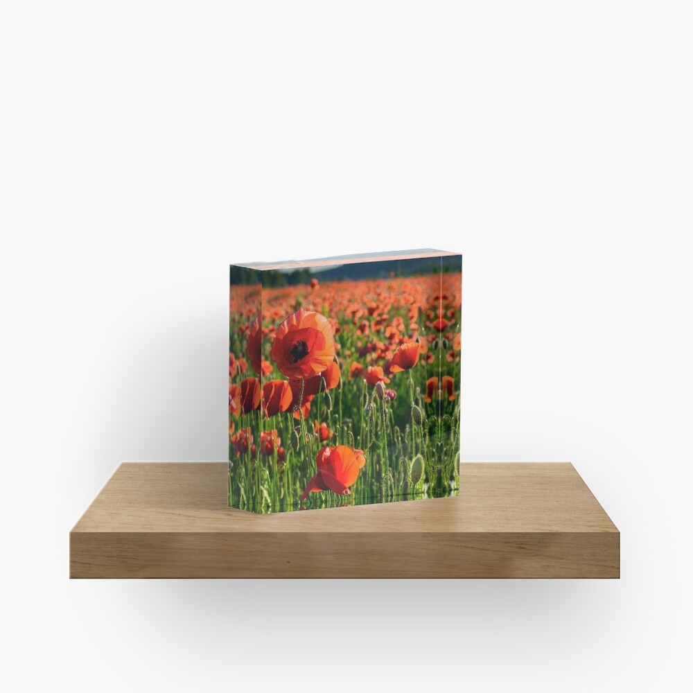 Item preview, Acrylic Block designed and sold by mike-pellinni.