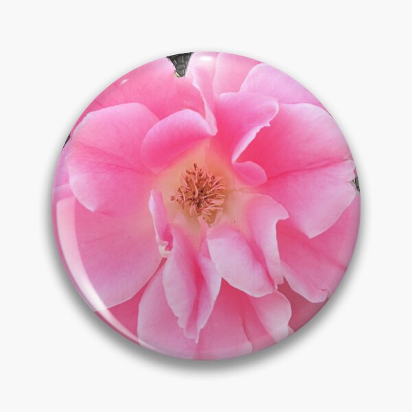 Item preview, Parson's Pink China Rose designed and sold by BostonArcImage.