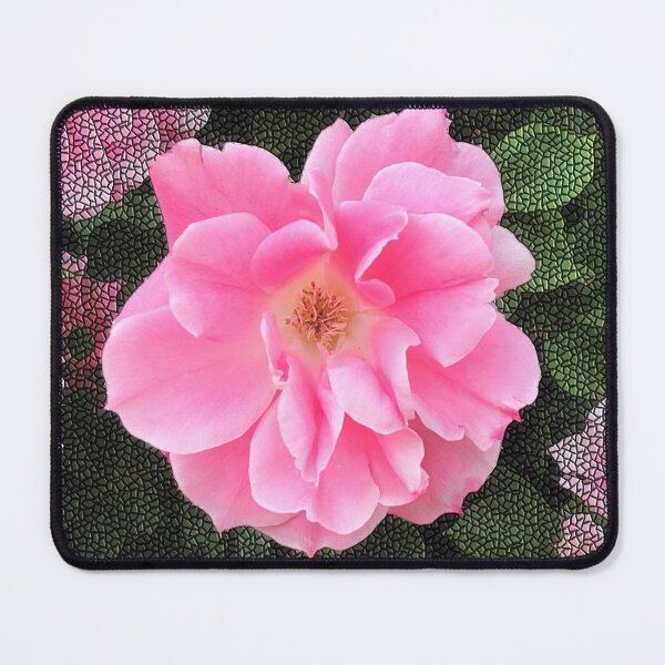 Item preview, Parson's Pink China Rose designed and sold by BostonArcImage.