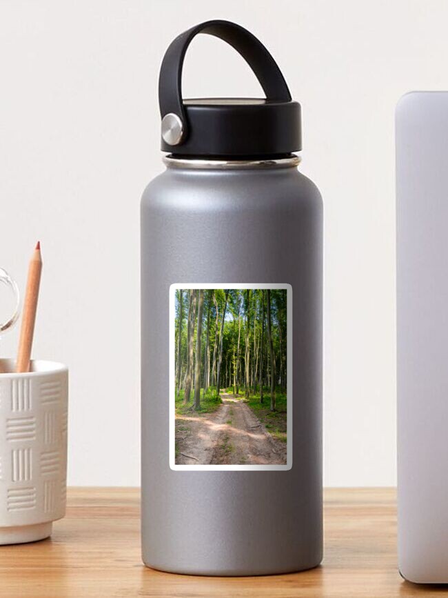 Thumbnail 1 of 3, Sticker, dirt road through beech forest designed and sold by mike-pellinni.