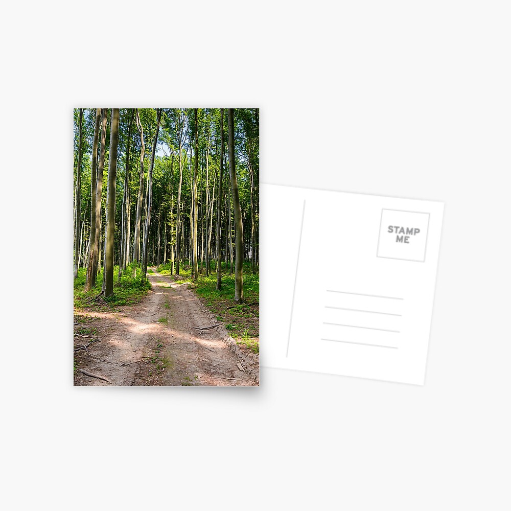 Item preview, Postcard designed and sold by mike-pellinni.