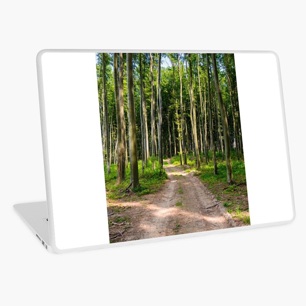 Item preview, Laptop Skin designed and sold by mike-pellinni.