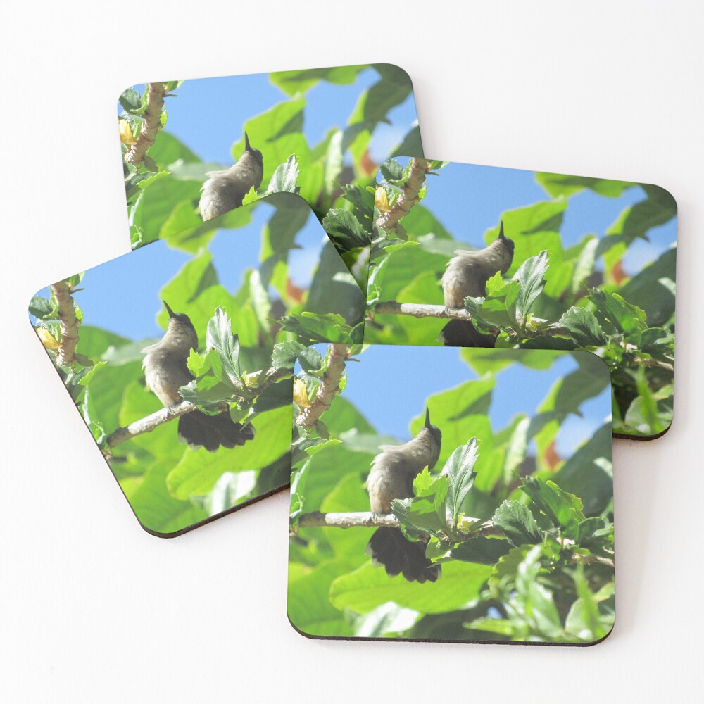 Item preview, Coasters (Set of 4) designed and sold by TurtleReef.