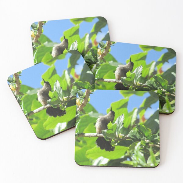Item preview, Hummingbird designed and sold by Black Onyx Designs.