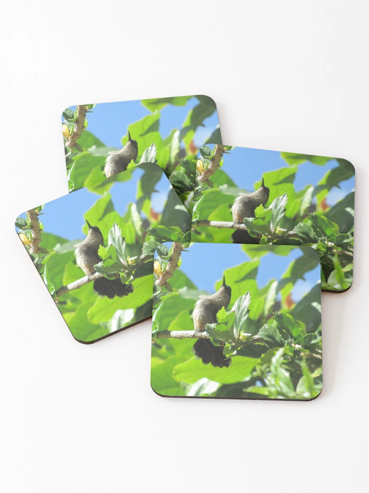 Thumbnail 1 of 5, Coasters (Set of 4), Hummingbird designed and sold by Black Onyx Designs.