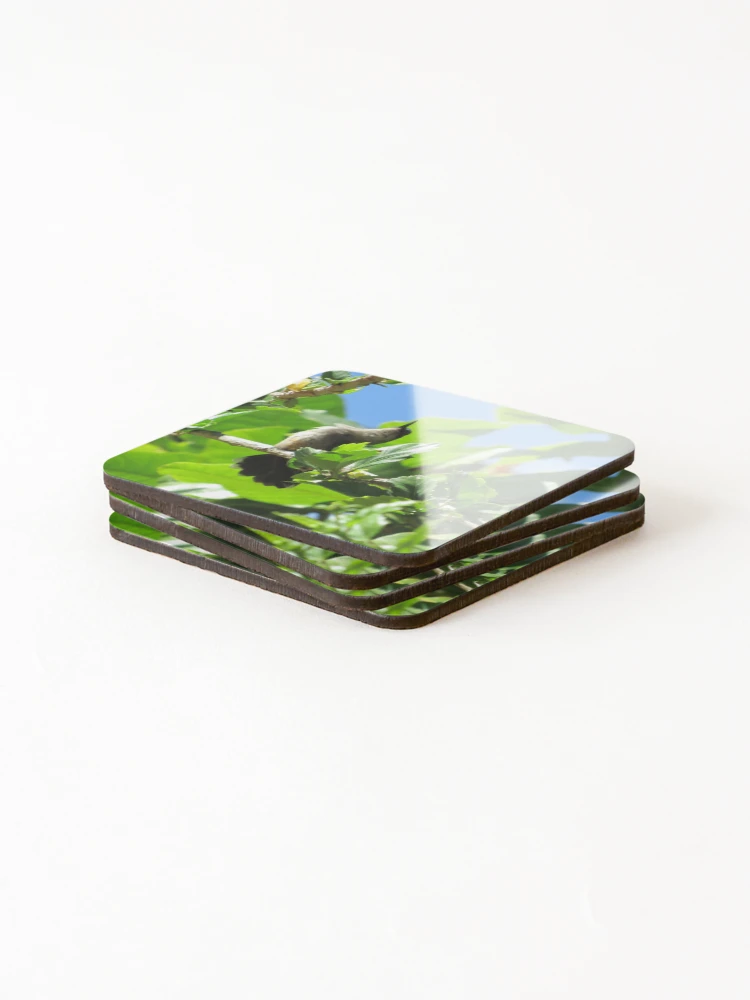 Thumbnail 4 of 5, Coasters (Set of 4), Hummingbird designed and sold by Black Onyx Designs.
