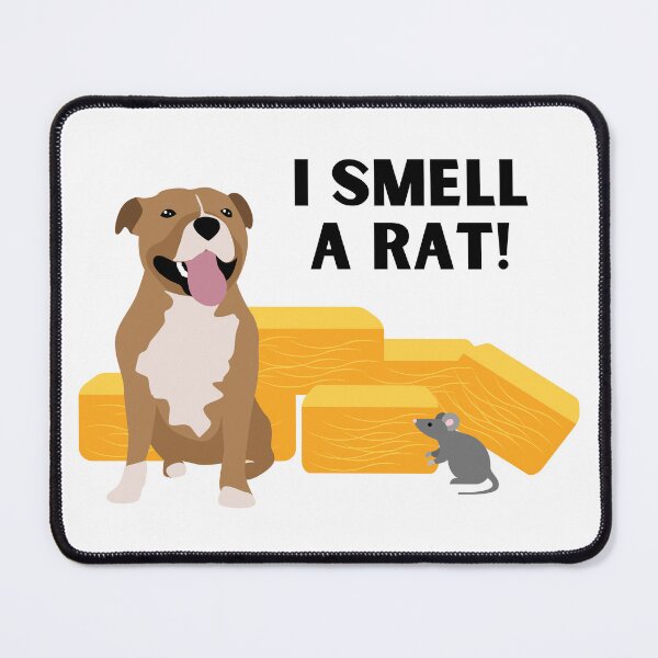 Item preview, Staffordshire Terrier I Smell A Rat Barn Hunt designed and sold by Mop Dog Designs.