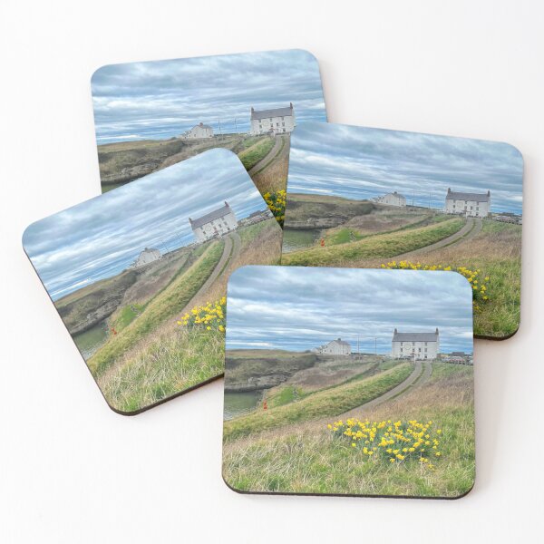 Item preview, Seaton Sluice Daffodils  designed and sold by Violaman.
