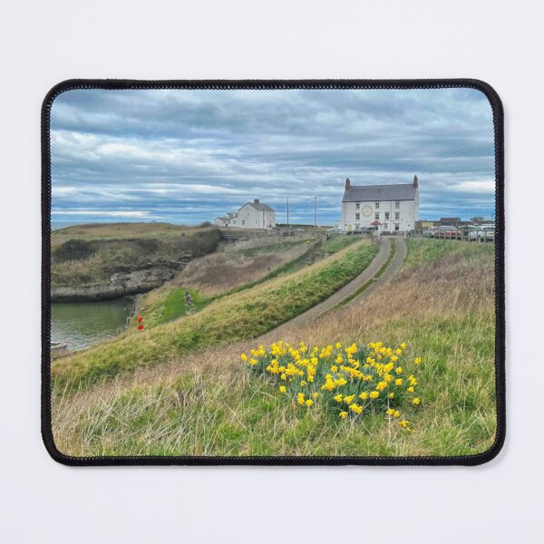Item preview, Seaton Sluice Daffodils  designed and sold by Violaman.