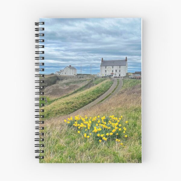 Item preview, Seaton Sluice Daffodils  designed and sold by Violaman.