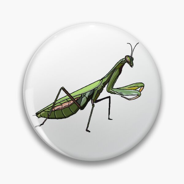 Item preview, praying mantis designed and sold by kaity eger.