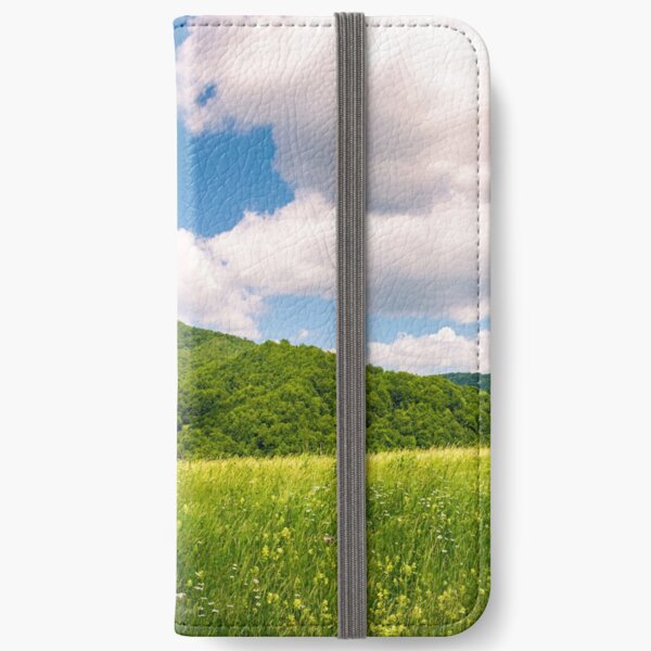 haystack on the grassy field in mountains iPhone Wallet
