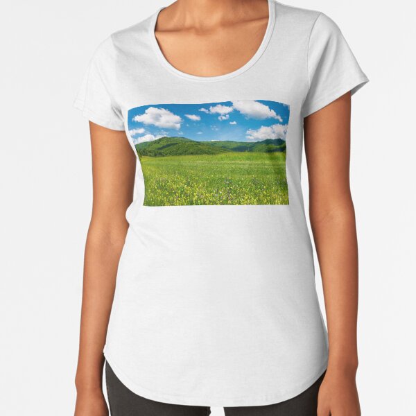 beautiful landscape with meadow in mountains Premium Scoop T-Shirt