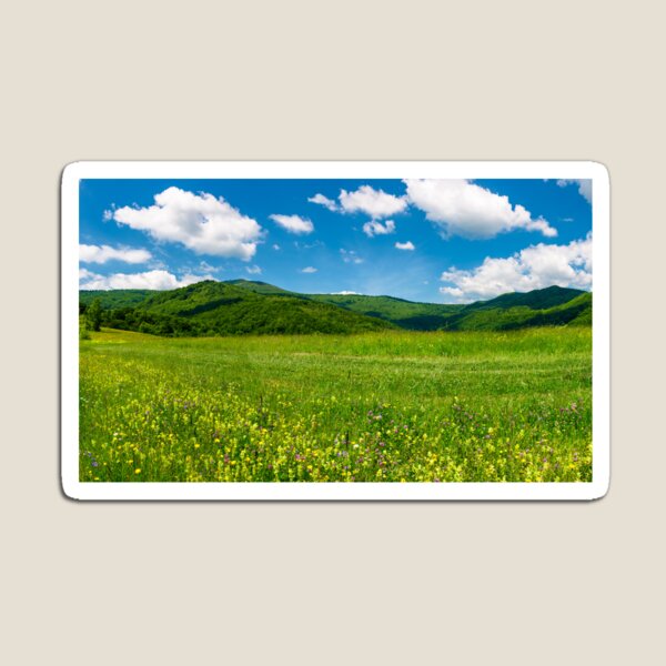 beautiful landscape with meadow in mountains Magnet