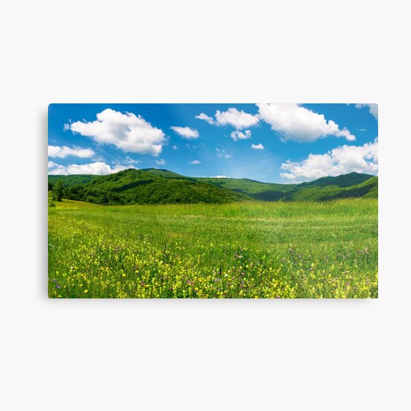 beautiful landscape with meadow in mountains Metal Print