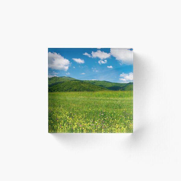 beautiful landscape with meadow in mountains Acrylic Block