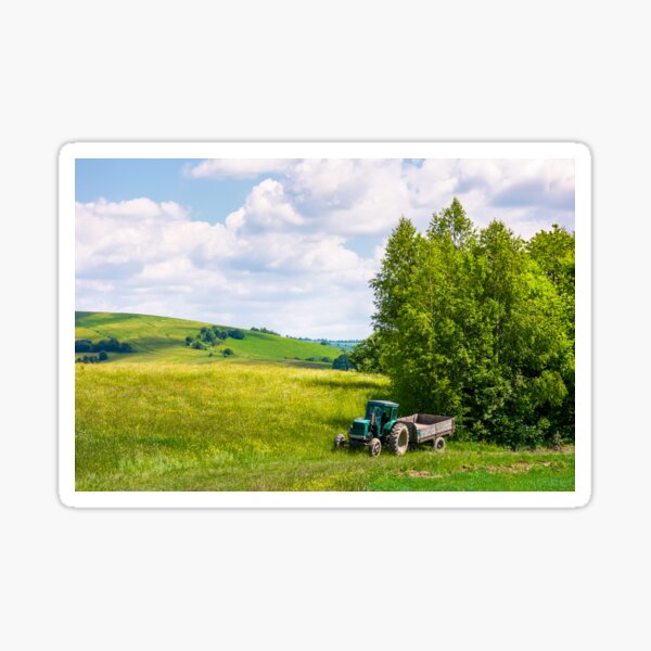 grassy fields on rolling hills in summer Sticker