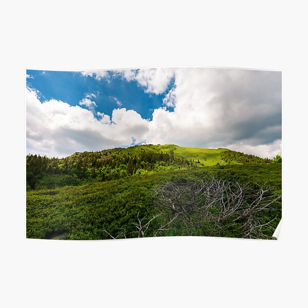 beautiful mountain landscape in summertime Poster