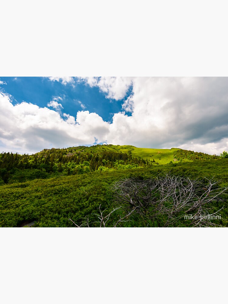 beautiful mountain landscape in summertime by mike-pellinni