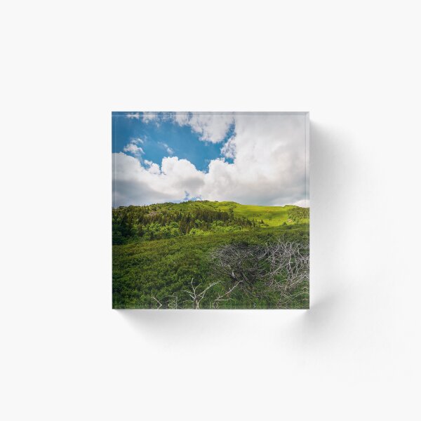 beautiful mountain landscape in summertime Acrylic Block