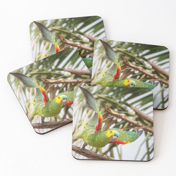 Item preview, Parrot Pantanal Brazil designed and sold by PhotoArt by Joan Carroll.