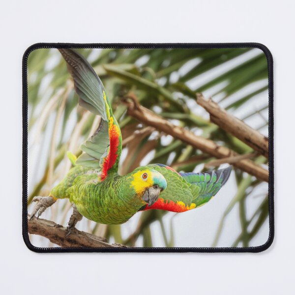 Item preview, Parrot Pantanal Brazil designed and sold by PhotoArt by Joan Carroll.