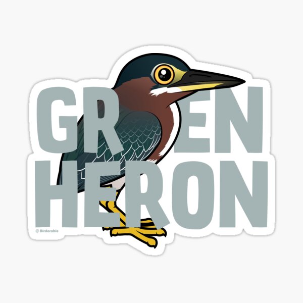 Cute Birdorable Green Heron Sticker