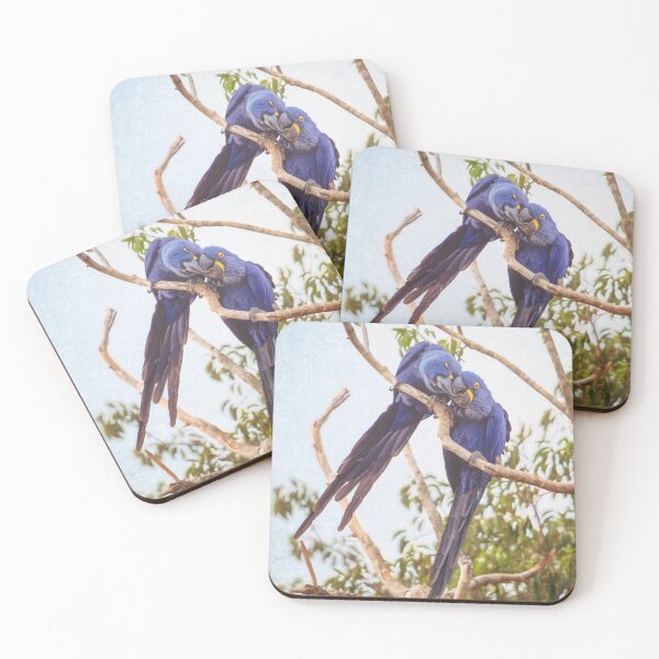 Item preview, Two Hyacinth Macaws Pantanal Brazil designed and sold by PhotoArt by Joan Carroll.