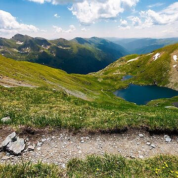 Artwork thumbnail, tourist foot path in Fagarasan mountains, Romania by mike-pellinni
