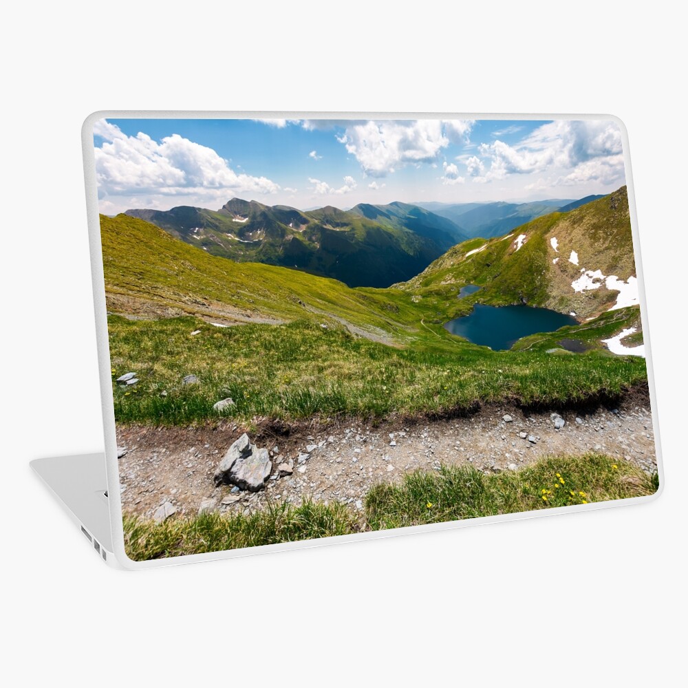 Item preview, Laptop Skin designed and sold by mike-pellinni.