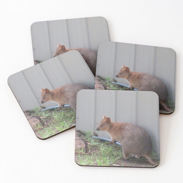 Item preview, Quokka designed and sold by greentiger1.