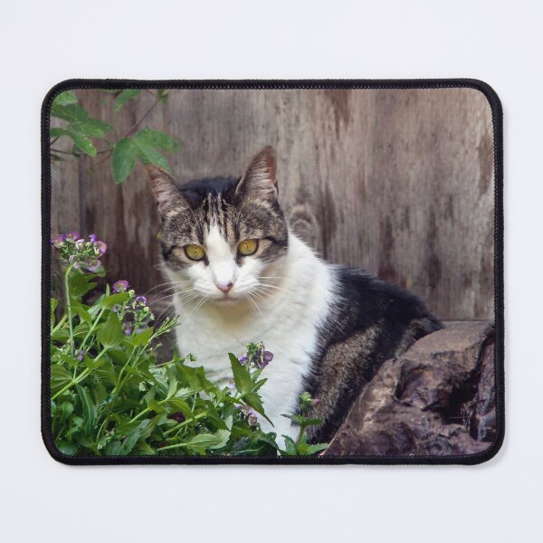 Item preview, Sophia in the Garden designed and sold by heatherfriedman.