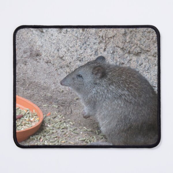 Item preview, Long-nosed potoroo designed and sold by greentiger1.