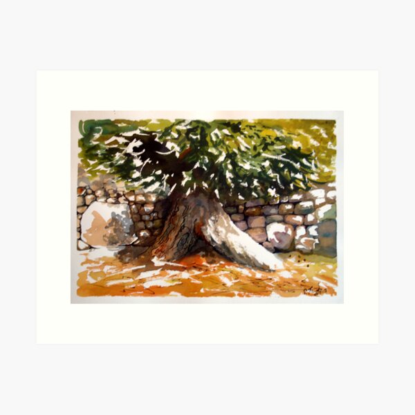 Olive Tree Art Print