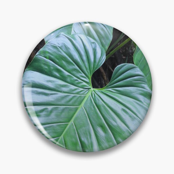 Item preview, Giant Philodendren Leaves in Costa Rica designed and sold by Quantum-Life.