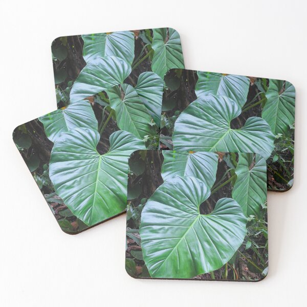 Item preview, Giant Philodendren Leaves in Costa Rica designed and sold by Quantum-Life.