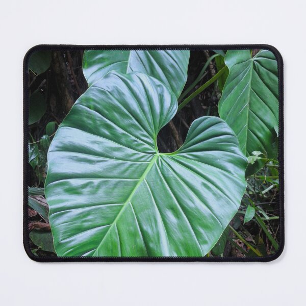 Item preview, Giant Philodendren Leaves in Costa Rica designed and sold by Quantum-Life.