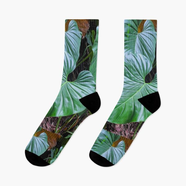 Item preview, Giant Philodendren Leaves in Costa Rica designed and sold by Quantum-Life.